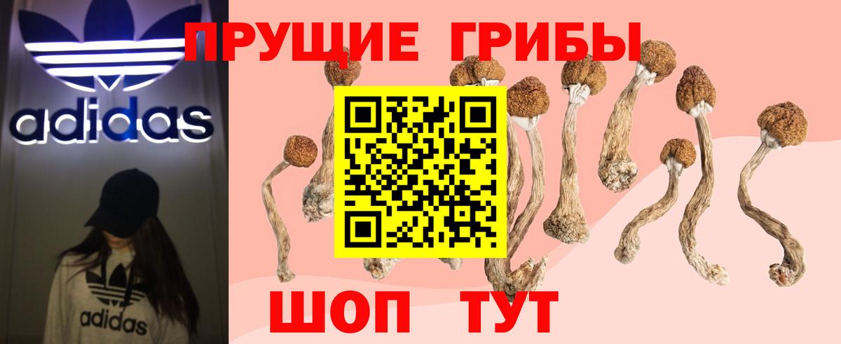 что такое наркотик  Вход с VPN  Псилоцибиновые грибы мухоморы  Воркута  Галлюциногенные грибы ЛСД 